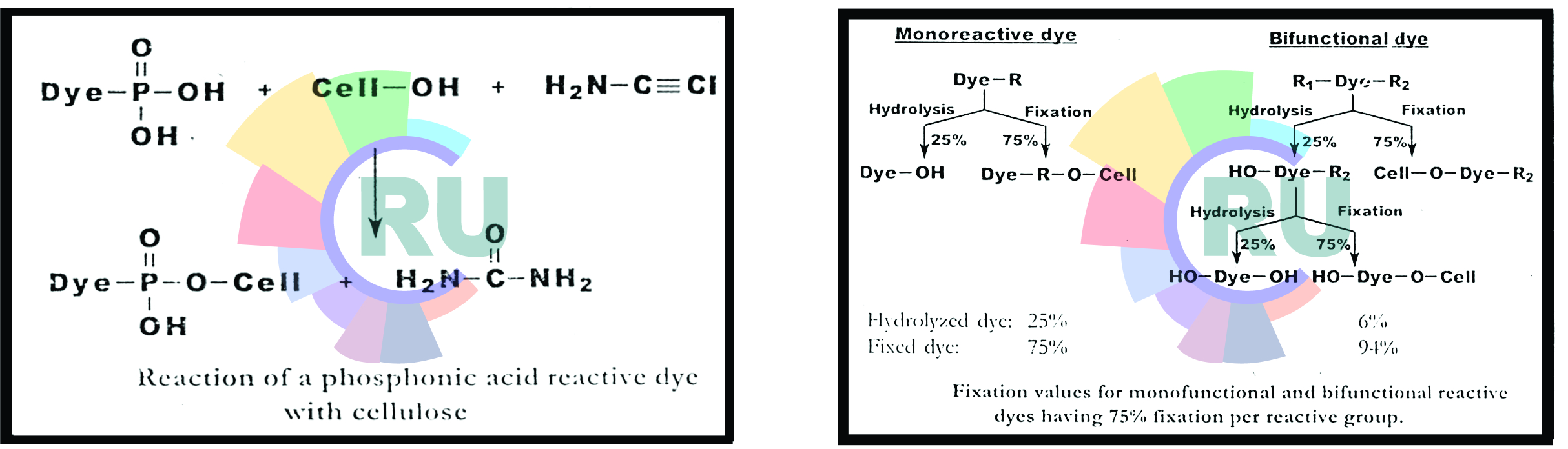 Fixation of bifunhctional reactive dyes