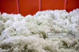 Meaning Of Polyester Fibers
